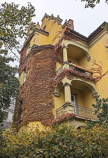 Dekorativ: Eine bewachsene Fassade am Bavariaring.