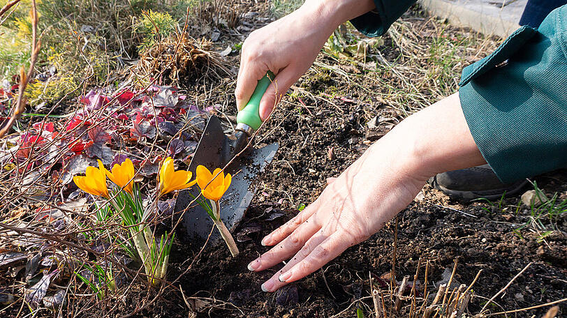 Im Frühling gibt es im Garten einiges zu tun