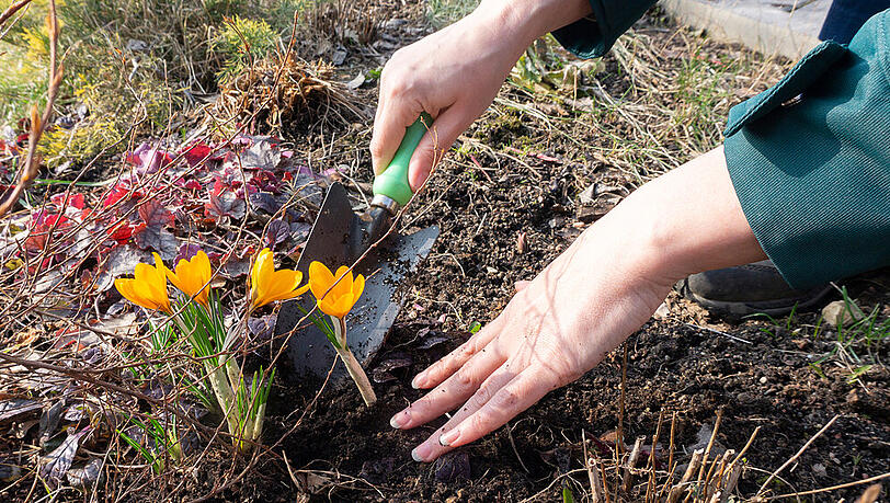 Im Frühling gibt es im Garten einiges zu tun Im Frühling gibt es im Garten einiges zu tun
