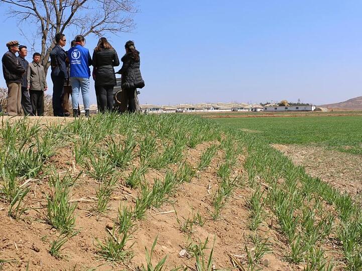 Mitglieder des World Food Programms WFP und Landwirte machen auf drohende Ernteausfälle aufmerksam.