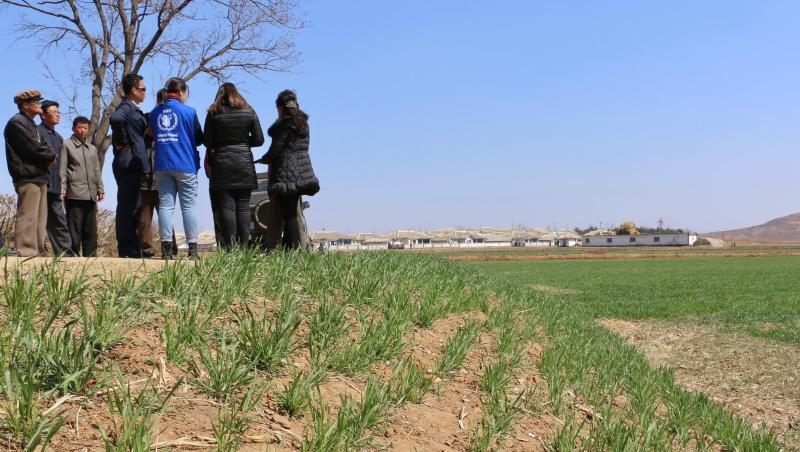 Mitglieder des World Food Programms WFP und Landwirte machen auf drohende Ernteausfälle aufmerksam. Mitglieder des World Food Programms WFP und Landwirte machen auf drohende Ernteausfälle aufmerksam.