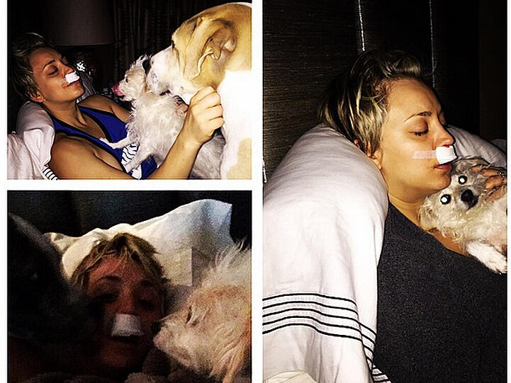 Liebevoll wird Kaley Cuoco von ihren Hunden umsorgt