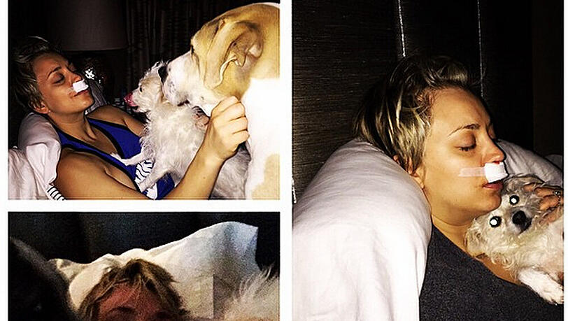 Liebevoll wird Kaley Cuoco von ihren Hunden umsorgt Liebevoll wird Kaley Cuoco von ihren Hunden umsorgt