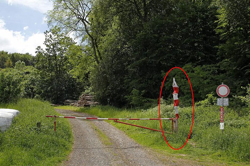 Hätten Sie die Nackte gefunden? Klicken Sie durch die Bilderrätsel.
