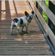 Gina