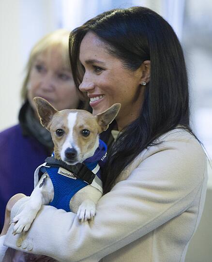 Hochschwanger und echt chic: Eleganter (knapper) Auftritt von Herzogin Meghan