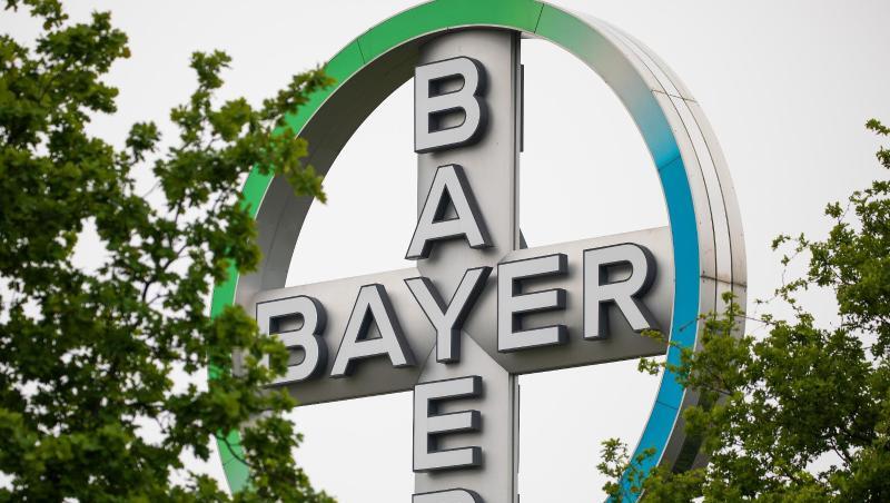 Logo von Bayer.