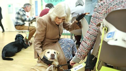 Königin Camilla kuschelt mit einem Blindenhund.