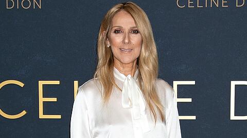 C&eacute;line Dion &uuml;berrascht an Weihnachten als der Grinch.