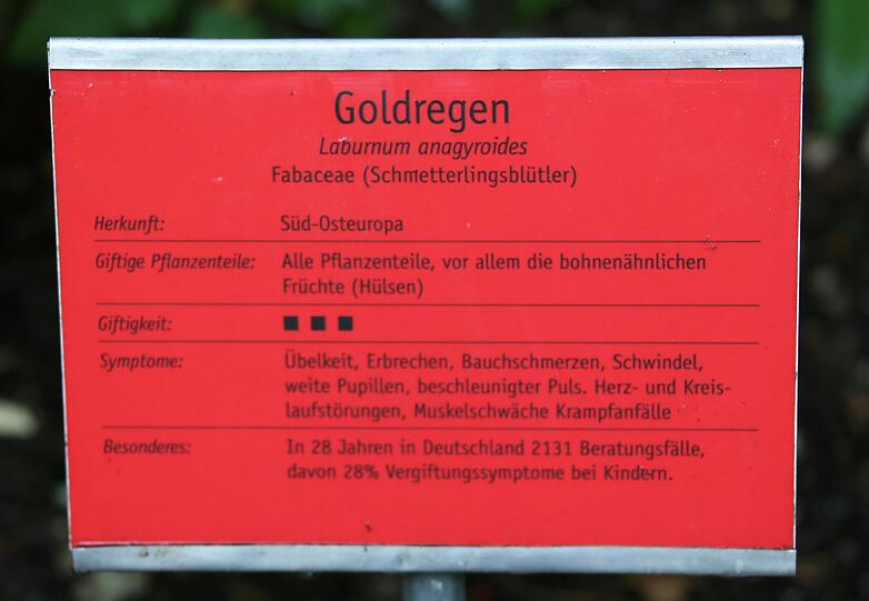 Auflösung siehe Tafel