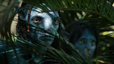 "Avatar: The Way of Water" läuft seit 14. Dezember im Kino.