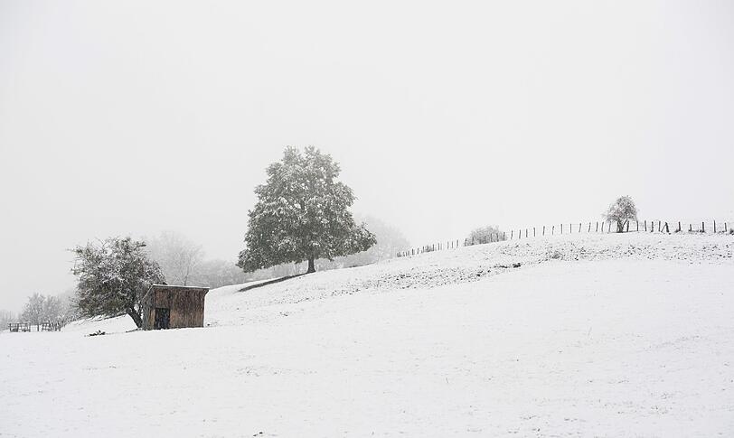 Neuschnee und Frost haben den Freistaat weiter im Griff - zumindest für Wintersportler eine gute Nachricht.