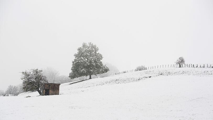 Neuschnee und Frost haben den Freistaat weiter im Griff - zumindest für Wintersportler eine gute Nachricht. Neuschnee und Frost haben den Freistaat weiter im Griff - zumindest für Wintersportler eine gute Nachricht.
