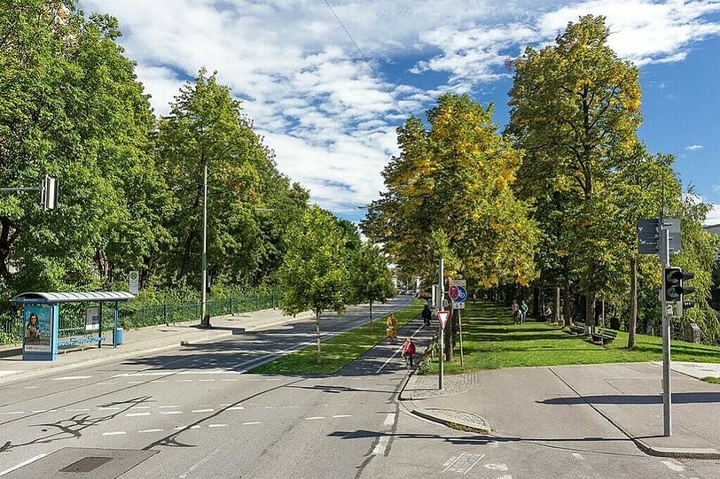 Auch eine Grüne Idee: Mehr Platz für Radler und Fußgänger an der Erhardstraße.