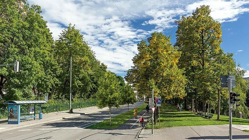 Auch eine Grüne Idee: Mehr Platz für Radler und Fußgänger an der Erhardstraße.