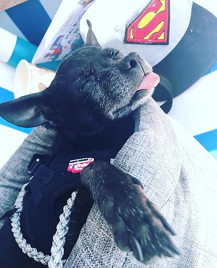 Mit Hund Henry startet der Moderator  Matthias Killing "gechillt rein in die neue Woche".