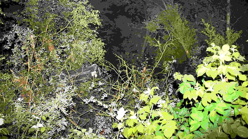 Schwierige Rettungsaktion: Drei junge Männer sind mit einem Auto in ein Waldstück gerast und mussten von der Feuerwehr befreit werden.