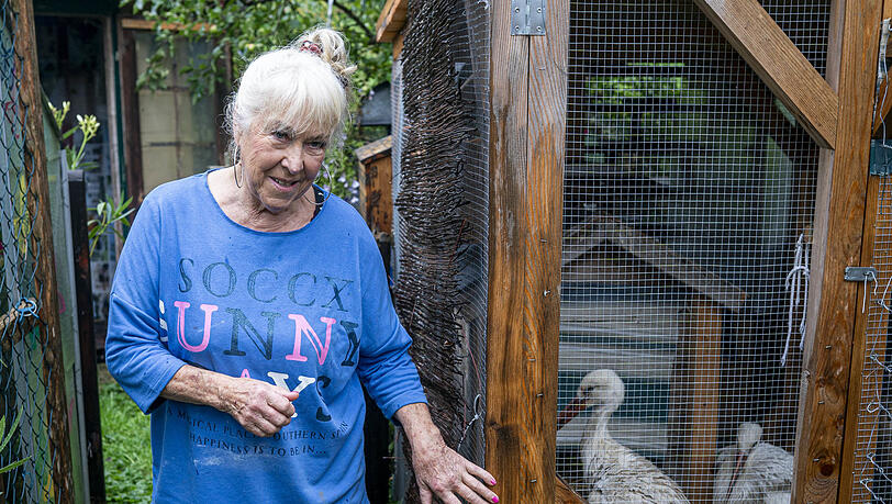 Heidi Rothwinkler betreibt eine Auffangstation für Hauskatzen und Wildtiere. Gerade päppelt sie mehrere Störche wieder auf.Foto: Ralf Ruder