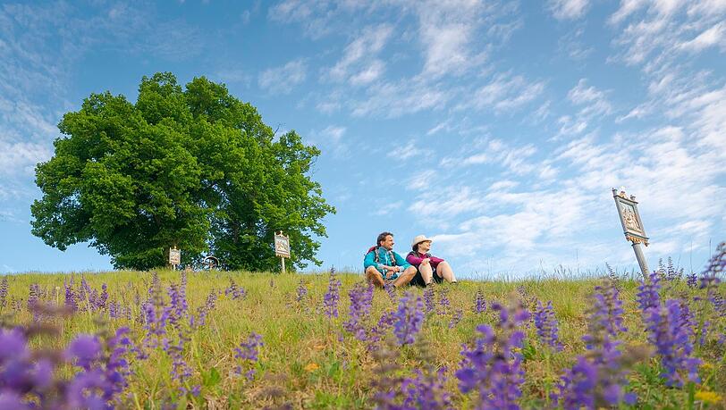 Bl&uuml;tezeit f&uuml;rs Genusswandern: Im Fr&uuml;hling wird es bunt auf den Wiesen und Wacholderheiden im Naturpark Altm&uuml;hltal.
