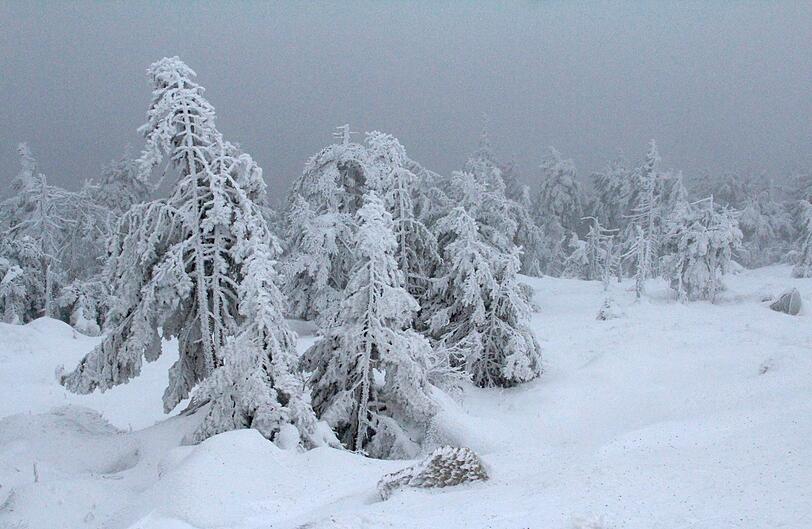 Tief verschneite Landschaft auf dem Brocken.