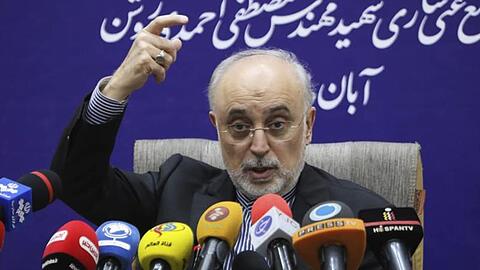 Ali Akbar Salehi, Chef der iranischen Atomenergieorganisation AEOI.