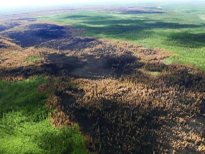 Das Standbild eines Videos zeigt den dramatischen Wald- und Flächenbrand in der Region Krasnojarsk. Laut Forstverwaltung haben die Feuer mittlerweile eine Fläche rund drei Millionen Hektar vernichtet.