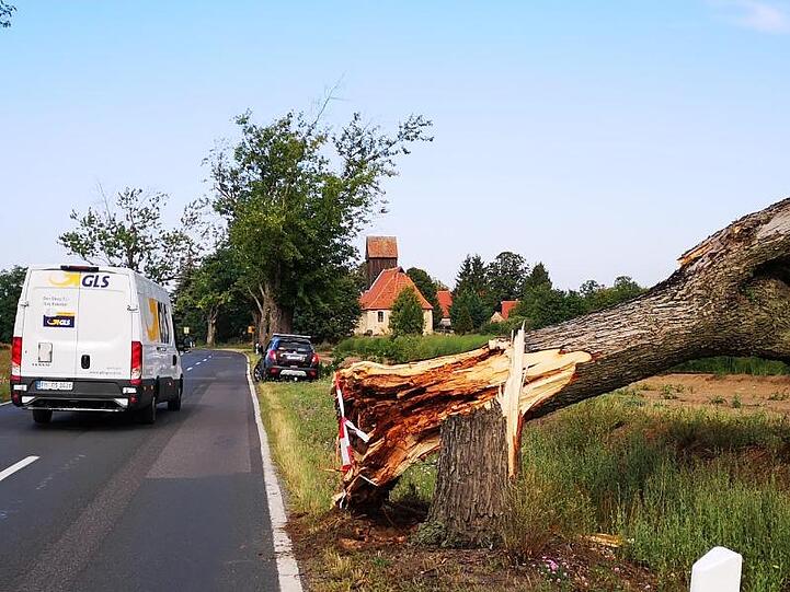 Ein entwurzelter Baum blockiert eine Landstraße in Brandenburg.