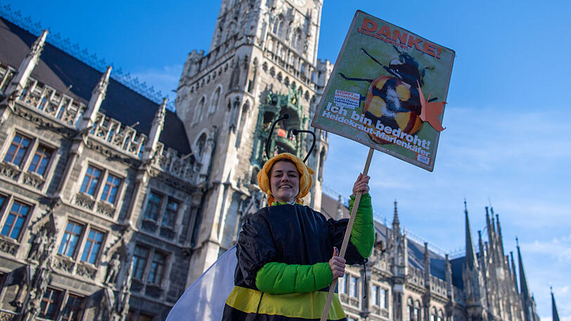 Weitere Bilder vom Marienplatz.
