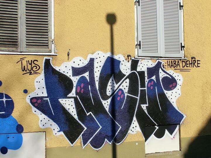 Graffiti-Künstler haben im Harthof Abrisshäuser gekonnt verschönert.