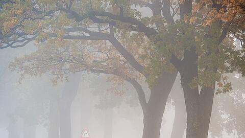 In den allermeisten Ecken Deutschlands bleibt es auch in den kommenden Tagen weitgehend trüb, etwas Hoffnung auf Sonne gibt es für den Südwesten.