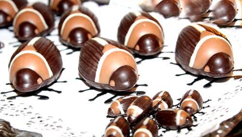 Köstliche Invasion: In dem Pralinenladen „Sama-Sama“ werden die Marienkäfer aus feinster Schokolade hergestellt. Köstliche Invasion: In dem Pralinenladen „Sama-Sama“ werden die Marienkäfer aus feinster Schokolade hergestellt.