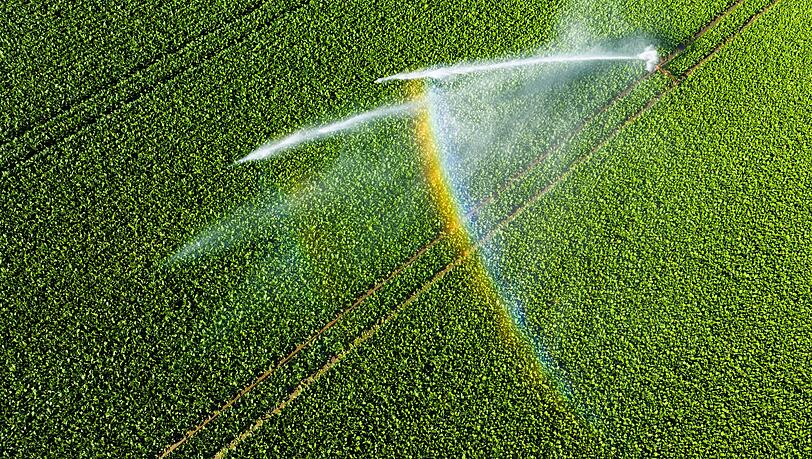 Nicht einmal fünf Prozent der landwirtschaftlichen Fläche kann bewässert werden.