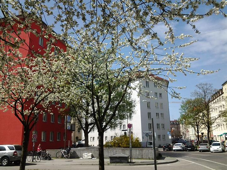 In der Au blührt und grünt es bereits, wie AZ-Leser Björn Drubel mit seiner Kamera dokumentiert hat.
