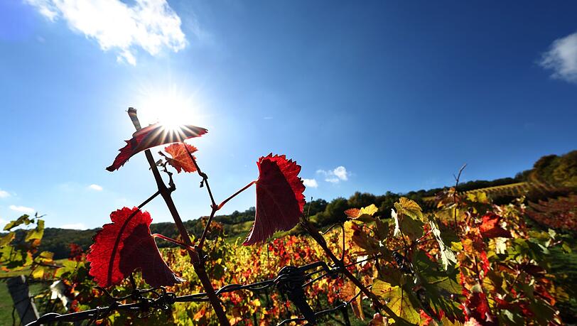 Der Herbst zeigt sich in Bayern vielerorts von seiner freundlichen Seite.