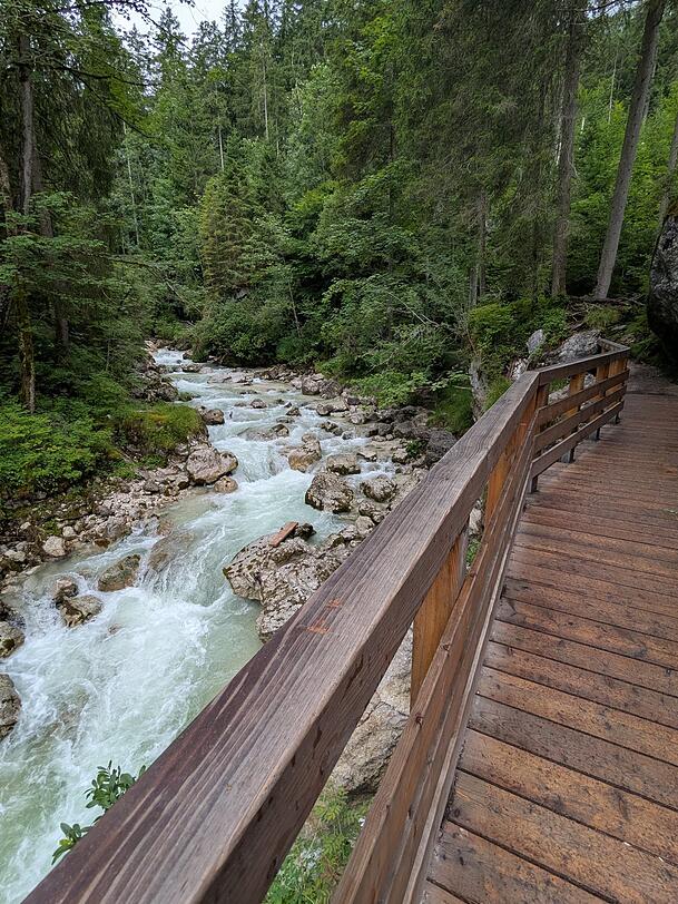 So schaut der Weg durch den Zauberwald aus - aufgenommen Anfang Juli. So schaut der Weg durch den Zauberwald aus - aufgenommen Anfang Juli.