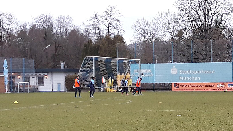 Die Nachwuchslöwen tragen die Tore auf den Platz.