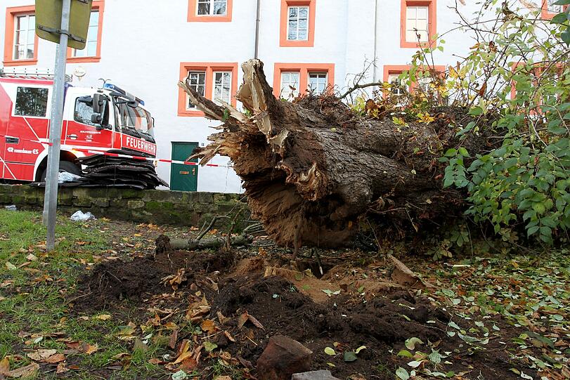 Ein umgestürzter Baum hat einen Passanten erschlagen (Symbolbild)