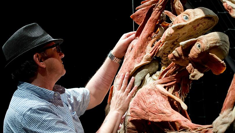 Blinde und Sehbehinderte erfühlen die Plastinate von Gunther von Hagens. Die Bilder. Blinde und Sehbehinderte erfühlen die Plastinate von Gunther von Hagens. Die Bilder.