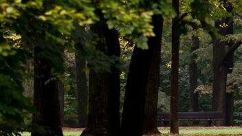 23-Jähriger wird mitten in einem Park in Pasing bewusstlos geschlagen und ausgeraubt. (Symbolbild)