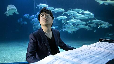 Lang Lang - hier vor einigen Jahren im Aquarium von Valencia.