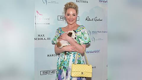 Katherine Heigl kuschelte bei dem Event mit Hunden.