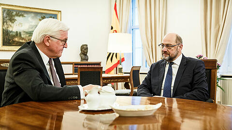 Zwei, die sich kennen: Bundespräsident Frank-Walter Steinmeier und SPD-Chef Martin Schulz.