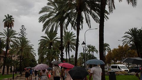 Kein Urlaubswetter auf Mallorca.
