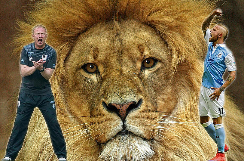 Einsatz, Emotion, Hingabe, Leidenschaft, fordert Coach Torsten Fröhling von seinen Löwen um Aggressiv-Leader Daniel Adlung (r.).