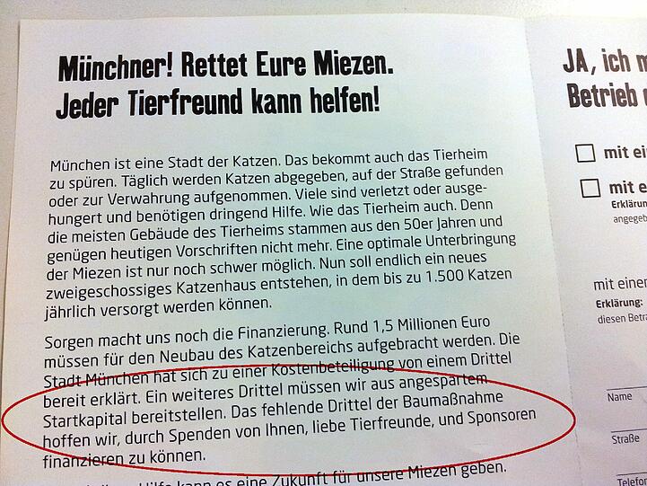 Der Tierschutzverein bittet um Spenden für das neue Katzenhaus. 500.000 Euro fehlen.