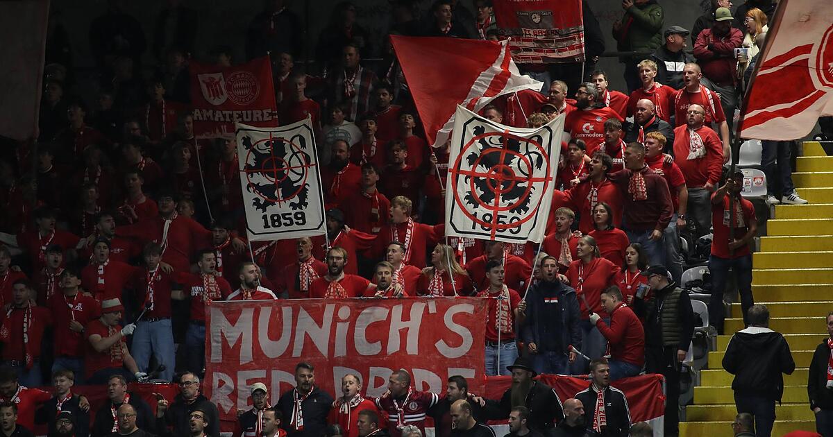 Small derby between FC Bayern and the Lions: Major police operation in ...
