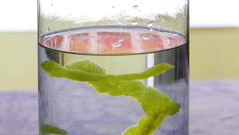 Wochenlang liegen die Schalen in reinem Alkohol. Wochenlang liegen die Schalen in reinem Alkohol.