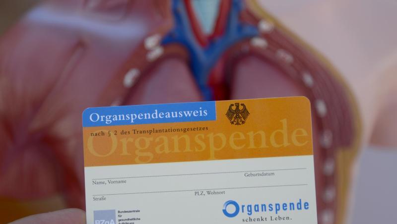 Ein Organspendeausweis. Ein Organspendeausweis.