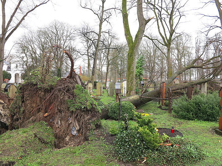 Weitere Aufnahmen vom Ostfriedhof.