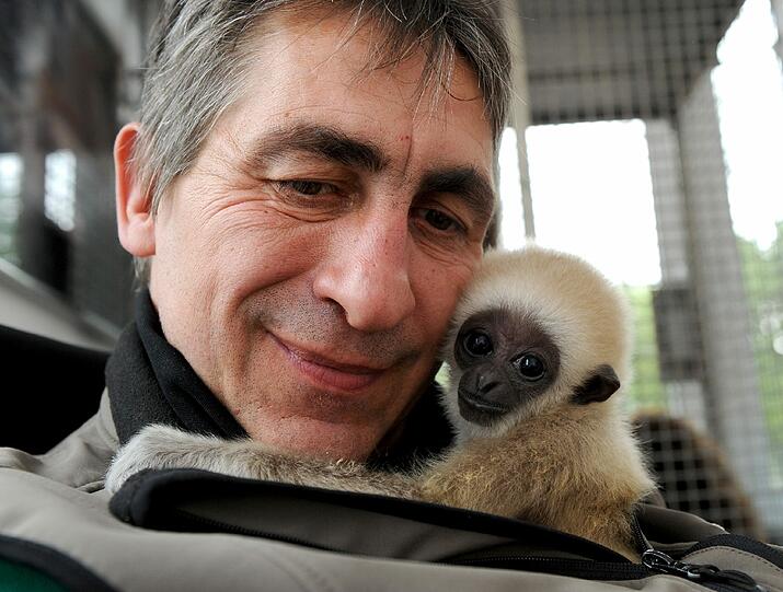 Die sechs Monate alte Tochter der Tierparkleiterin, Viktoria, und das dreieinhalb Jahre alte Gibbon-Baby Lui verstehen sich prächtig.